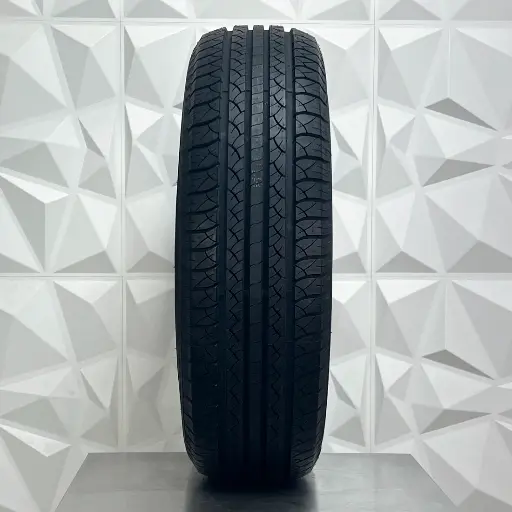 Vitality H:T 01.webp